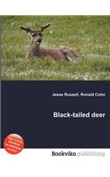 Black-Tailed Deer