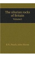 The Silurian Rocks of Britain Volume1