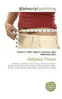 Adipose Tissue