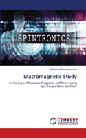 Macromagnetic Study