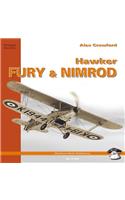 Hawker Fury and Nimrod