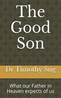 Good Son