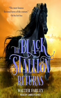 Black Stallion Returns