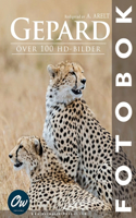 Gepard