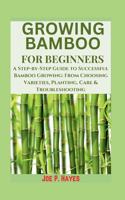 Growing Bamboo for Beginners