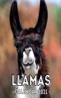 Llamas