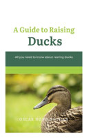 Guide to Raising Ducks