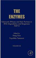 Eukaryotic RNases and their Partners in RNA Degradation and Biogenesis