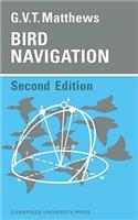 Bird Navigation