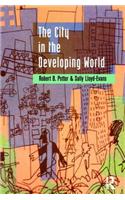 City in the Developing World