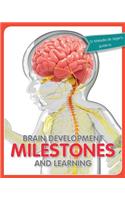 Brain development milestones and learning