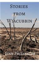 Stories from Wiacubbin