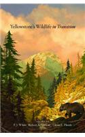 Yellowstone's Wildlife in Transition
