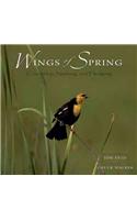 Wings of Spring