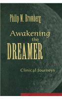 Awakening the Dreamer