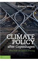 Climate Policy after Copenhagen