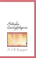 Methodus Conchyliologicus