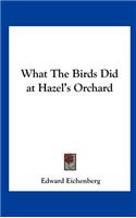 What the Birds Did at Hazel's Orchard