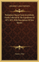 Preliminary Report Upon Invertebrate Fossils Collected By The Expeditions Of 1871-1873, With Descriptions Of New Species
