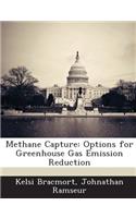 Methane Capture