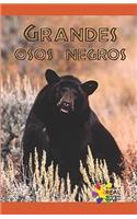 Grandes Osos Negros