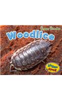 Woodlice: (Creepy Crawlies)