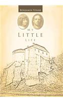 My Little Life