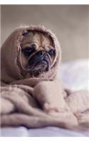 Pug in a Blanket Dog Journal: 150 Page Lined Notebook/Diary