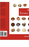 Garden Flower Seeds