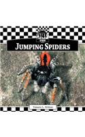 Jumping Spiders