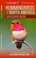 Hummingbirds of North America