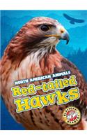 Red-Tailed Hawks: (North American Animals)