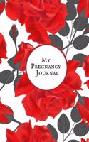 My pregnancy Journal