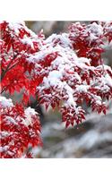 Japanese Maple Winter Snow School Composition Book 130 Pages: (Notebook, Diary, Blank Book)(Scenic Winter Photo School Composition Books Notebooks)