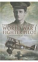 Diary and Letters of a World War I Fighter Pilot