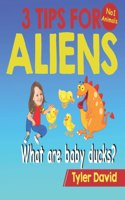 What is a baby duck?