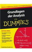 Grundlagen der Analysis fur Dummies