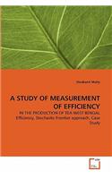 A Study of Measurement of Efficiency