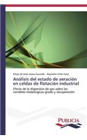 Análisis del estado de aeración en celdas de flotación industrial