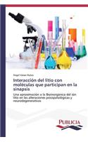 Interacción del litio con moléculas que participan en la sinapsis