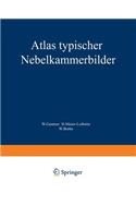Atlas Typischer Nebelkammerbilder