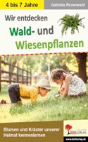 Wir entdecken Wald- und Wiesenpflanzen: Blumen und Krauter unserer Heimat kennenlernen