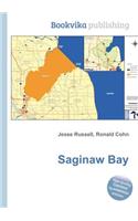 Saginaw Bay