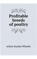 Profitable Breeds of Poultry