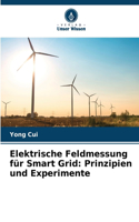 Elektrische Feldmessung für Smart Grid