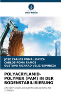 Polyacrylamid-Polymer (Pam) in Der Bodenstabilisierung