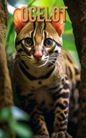 Ocelot