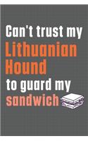 Can't trust my Lithuanian Hound to guard my sandwich: For Lithuanian Hound Dog Breed Fans