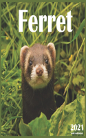 Ferret: 2021 Wall & Office Calendar, 12 Month Calendar