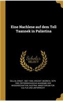 Eine Nachlese auf dem Tell Taannek in Palästina